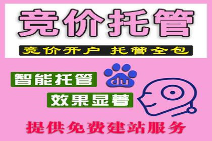 实战解析：SEM竞价策略优化案例